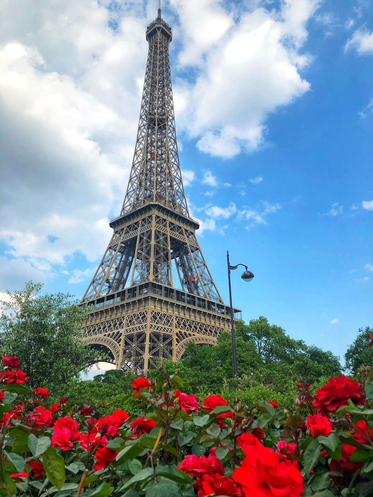 Eiffel tower with flowers