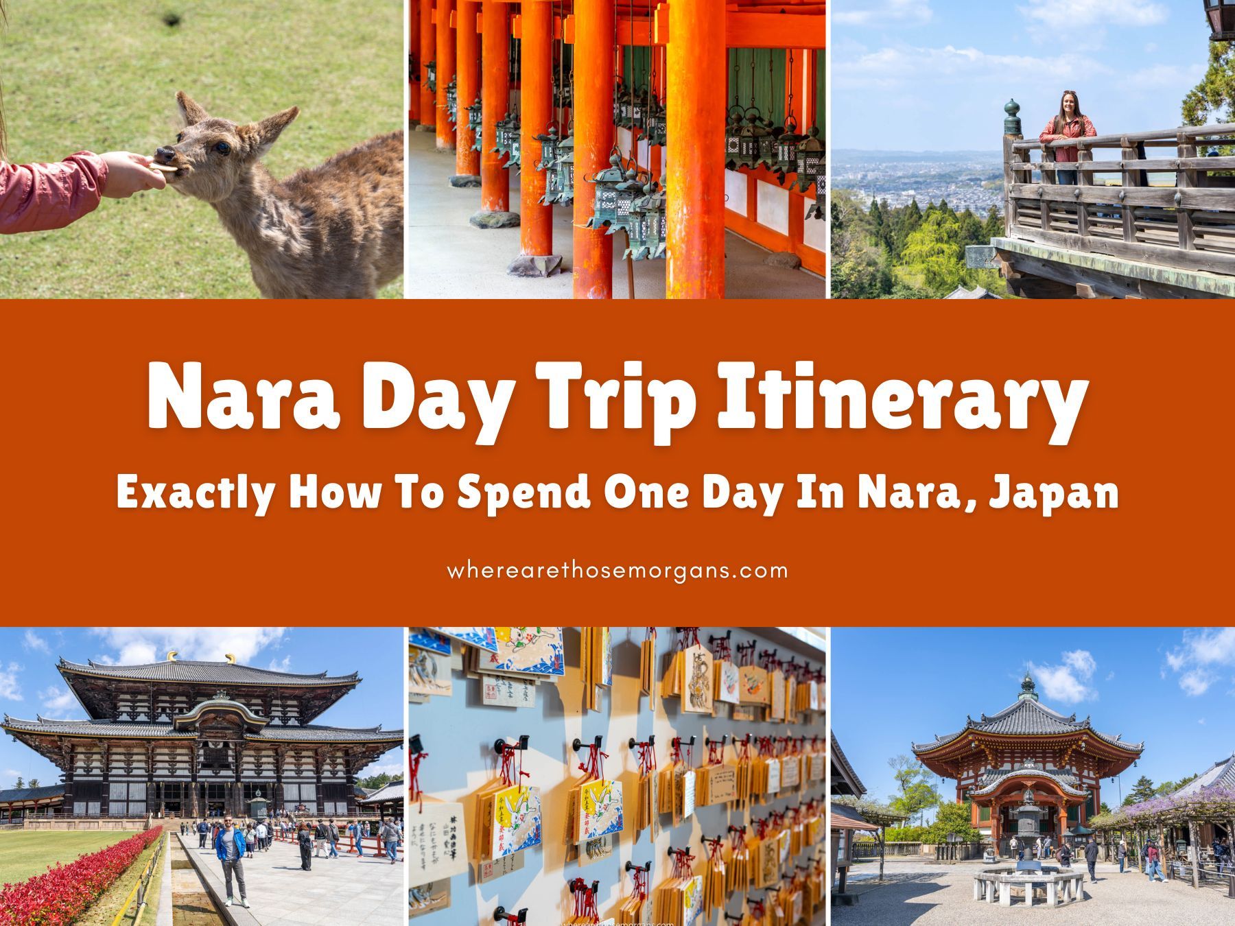 The Perfect One Day Itinerary For Nara, Japan