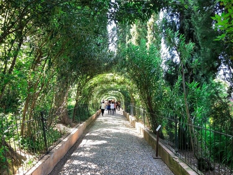 gardens and trees at the Alhambra