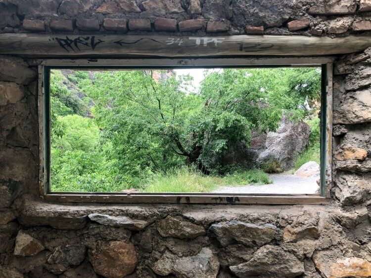 window overlooking plants in Sierra Nevada