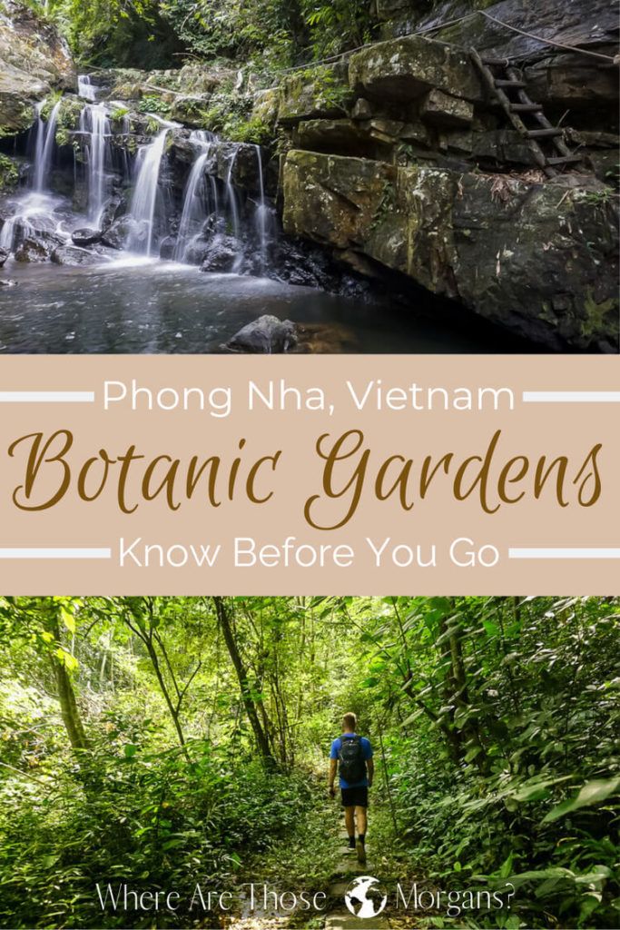Botanic Gardens Phong Nha Pinterest