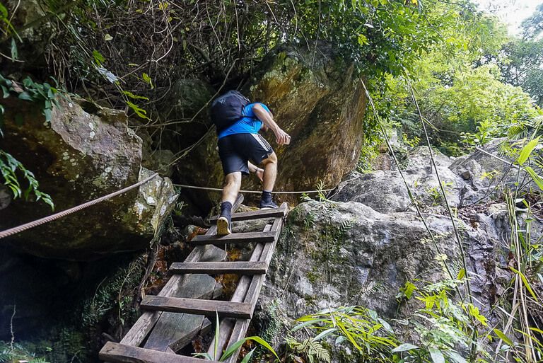 Man climbing a ladder in botanic gardens Phong Nha