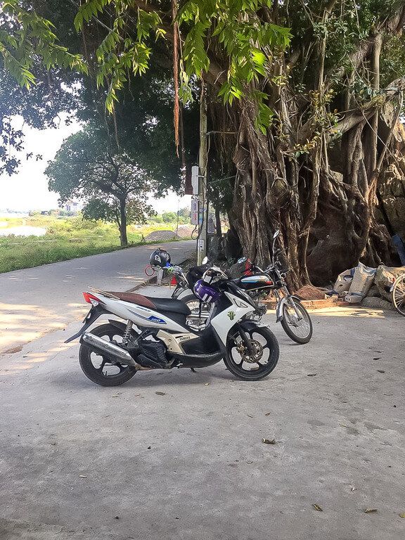 Motorbike parked infront of tree in vietnam
