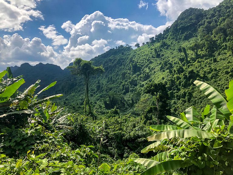 Rolling hills covered in a lush green blanket in Phong Nha-Ke Bang national park