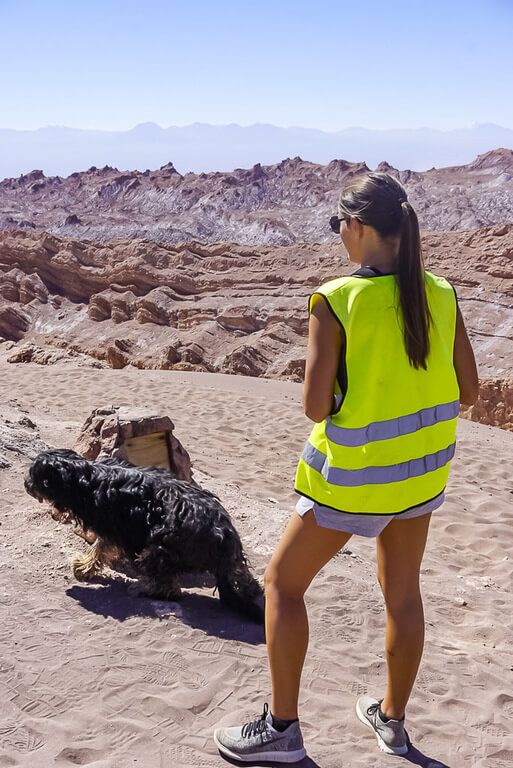 kristen in high vis jacket with dog in valley of the moon