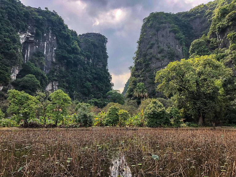 Beautiful lotus flowers in lake in front of towering limestone rocks