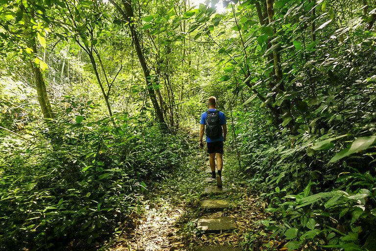 Man walking through lush green forest path in vietnam