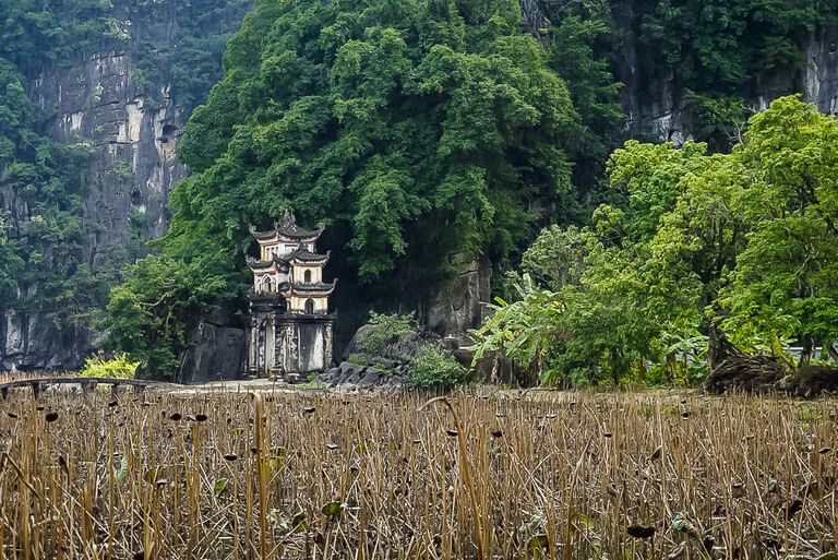 Bich Dong pagoda in reeds on lake