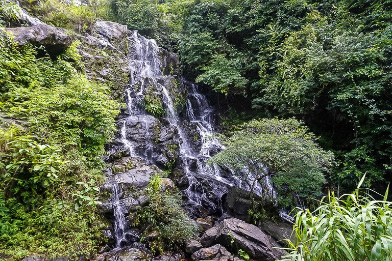 Gio Waterfall Phong Nha things to do botanical gardens