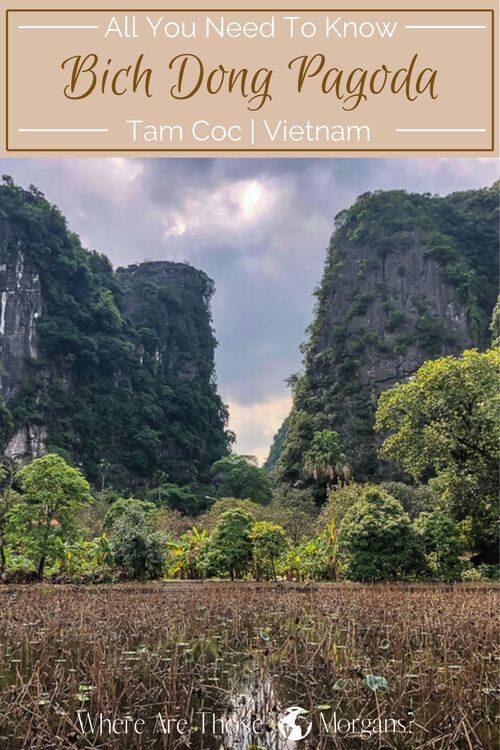 Tam Coc Bich Dong Pinterest Graphic