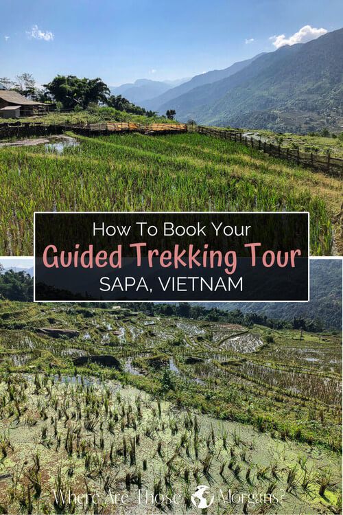 How To Book Your Guided Trekking Tour in Sapa, Vietnam