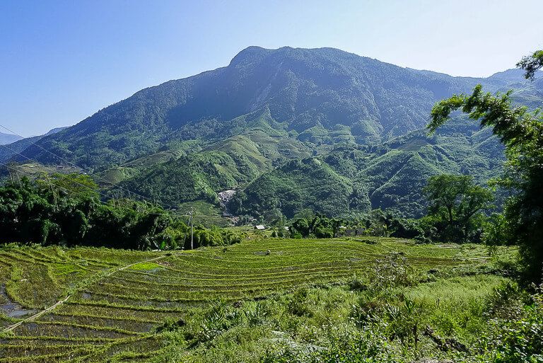 green rice fields and hills with clear sky in sapa vietnam