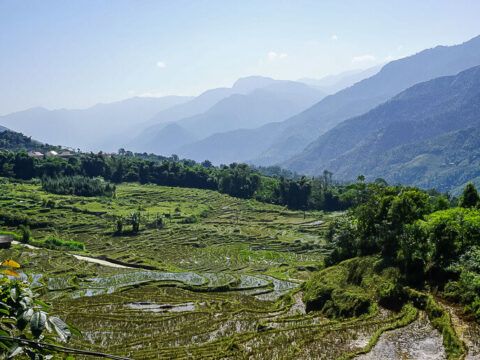 Trekking In Sapa, Vietnam: How To Book And Hike Gorgeous Sapa Valley