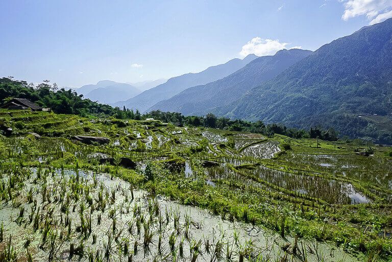 rice terraces filled with water after downpour sapa vietnam