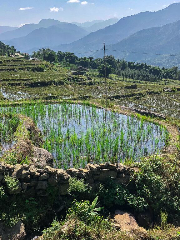 Rice terraces after being waterlogged from heavy rain in the Muong Hoa Valley
