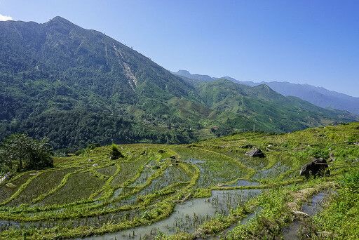 waterlogged rice fields on valley slope in the Muong Hoa Valley