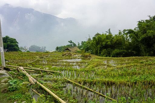 green fields waterlogged with dark clouds looming during a sapa trek