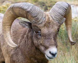 Badlands Photography: South Dakota's Captivating National Park