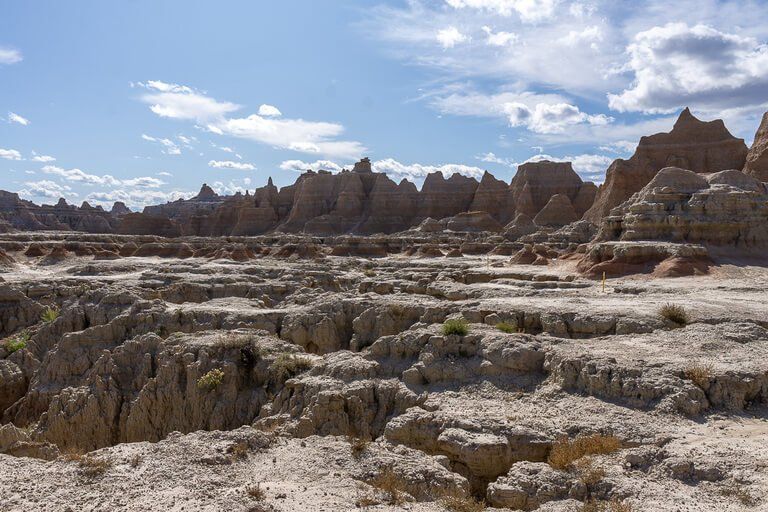 are dogs allowed in badlands national park