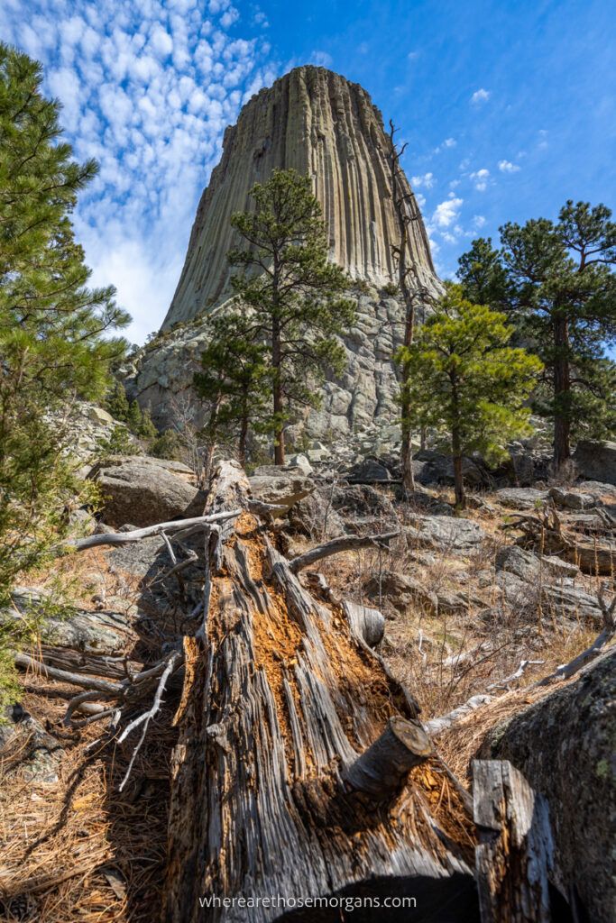 Devils Tower National Monument is one of the best places to visit outside of national parks with an america the beautiful pass striking tall tower formed by magma
