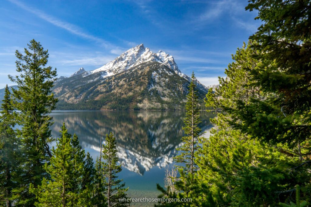 Grand Teton reflection in Jenny Lake Wyoming stunning photo with trees in foreground and still lake