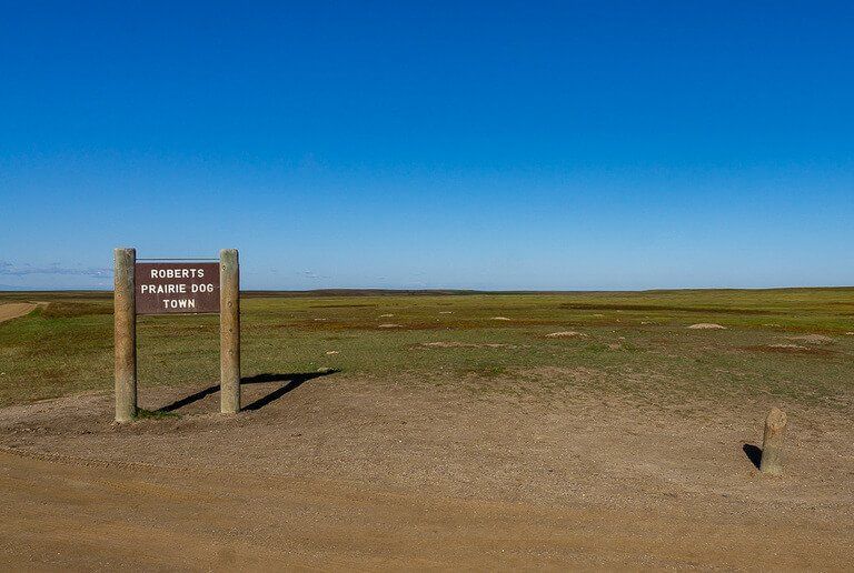 Roberts prairie dog town sign and open field badlands national park