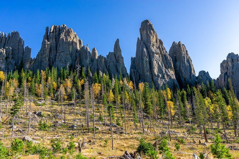 Cathedral Spires hike one of the best things to do in Custer state park