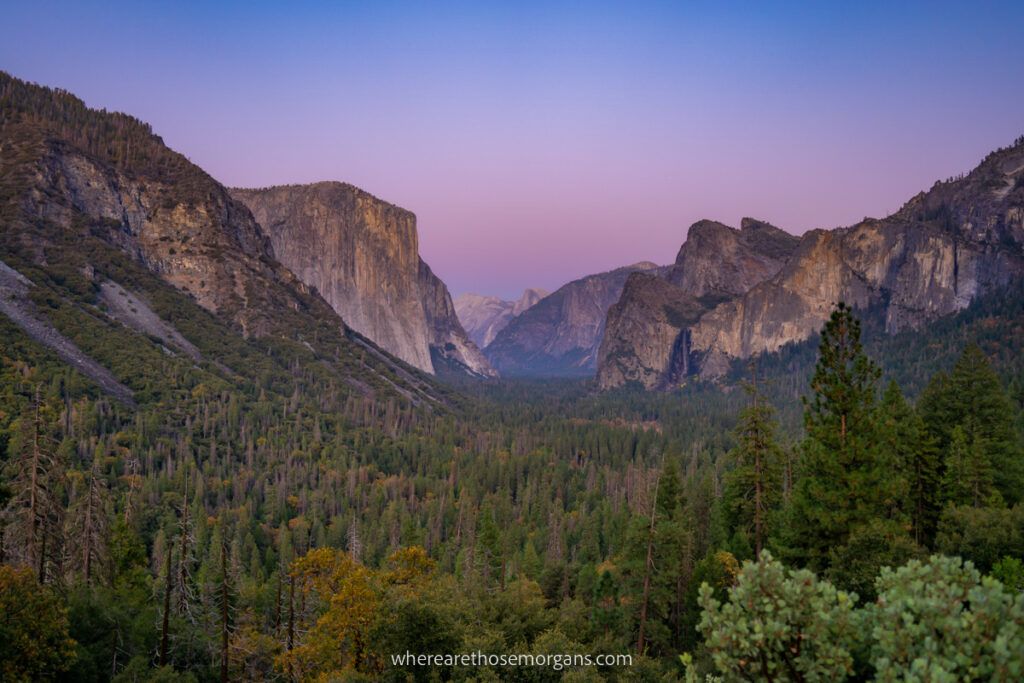 Yosemite Valley View at sunset with purple and blue sky over dense green forest in valley