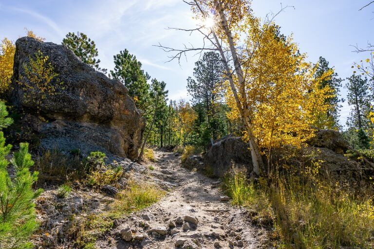 Beautiful hiking trail Black Elk Peak Custer State Park South Dakota Black Hills golden yellow leaves