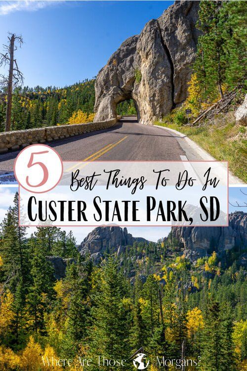 5 Best things to do in Custer state park sd