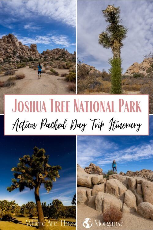 Joshua Tree National Park Action packed Day Trip Itinerary