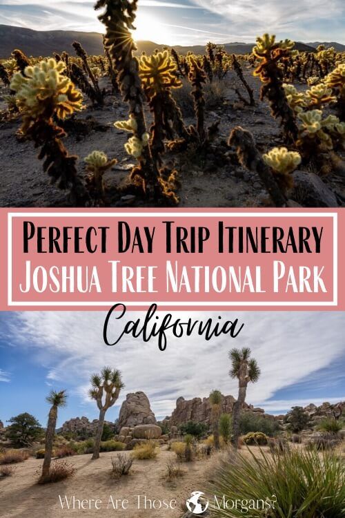 Perfect Day Trip Itinerary Joshua Tree National Park California
