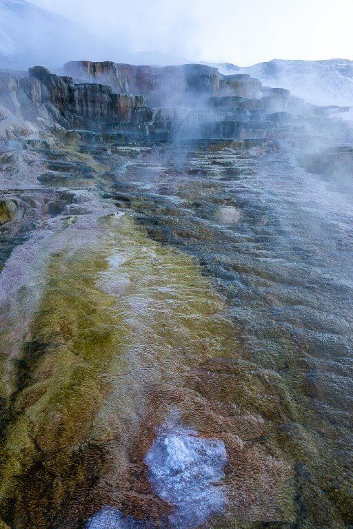 Colorful hot spring Mammoth Yellowstone