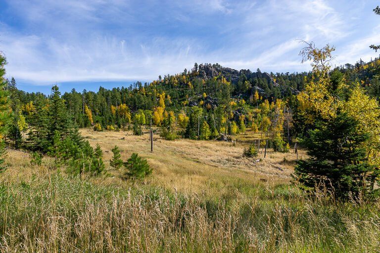 Stunning scenery near Custer State Park Black Hills National Forest meadows and hills green and yellow