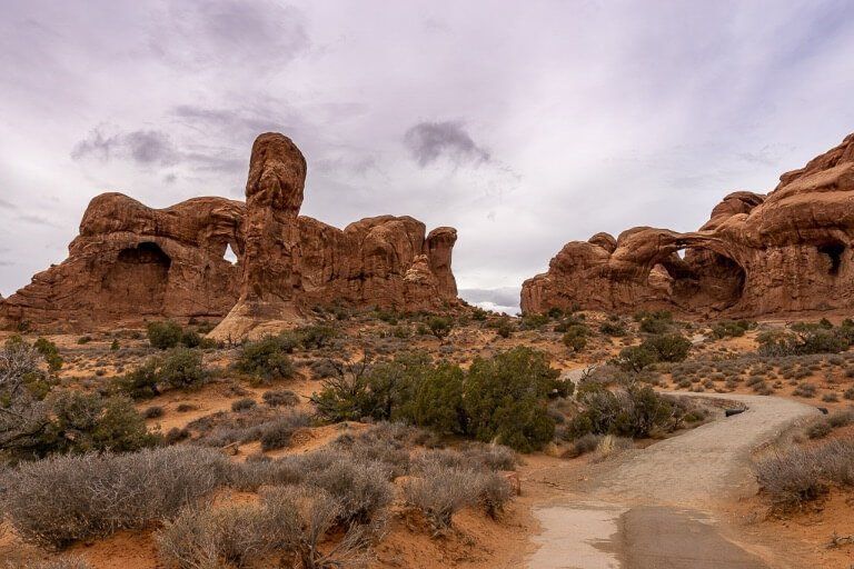 Hundreds of oddly shaped arches at arches national park in Utah
