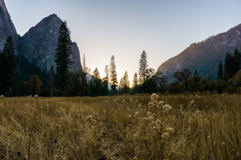 stunning sunset in Yosemite Valley meadow