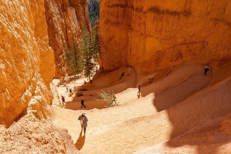 Bryce Canyon to Zion awesome switchbacks on queens garden hiking trail orange rocks