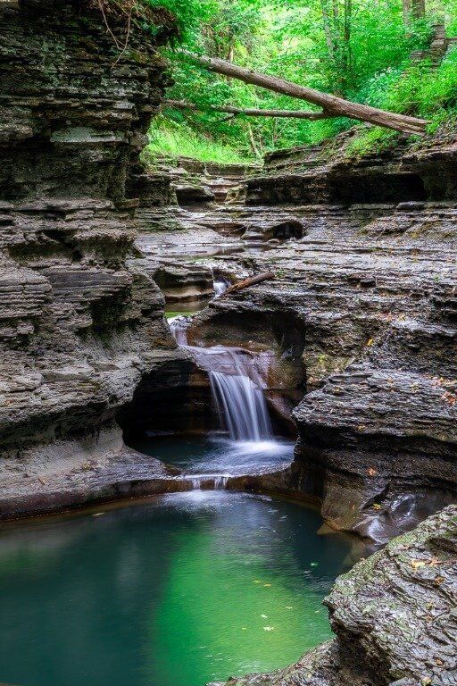 are dogs allowed at buttermilk falls pa