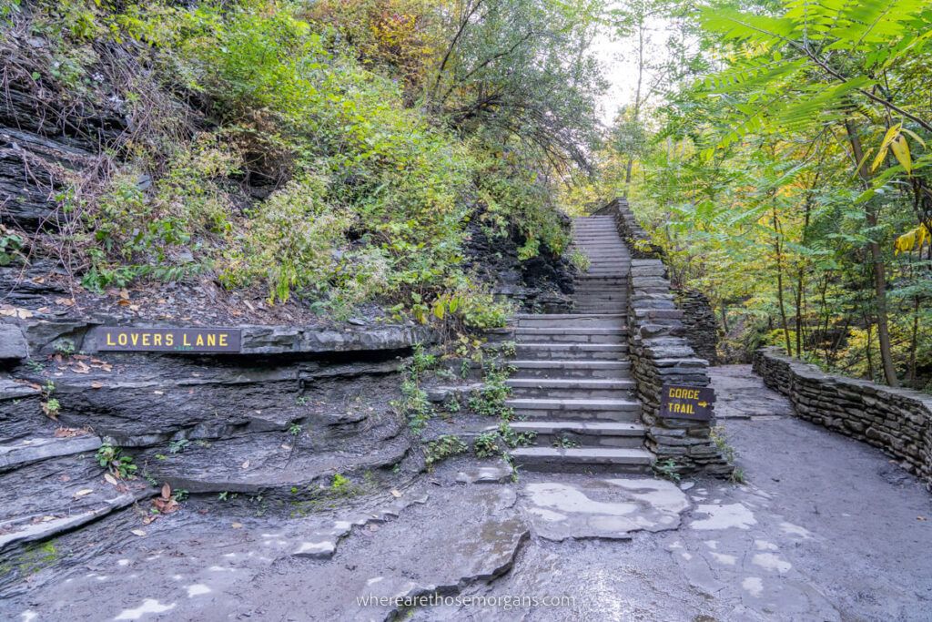 Watkins Glen Gorge Trail split at Lovers Lane Lookout stone staircase leading up