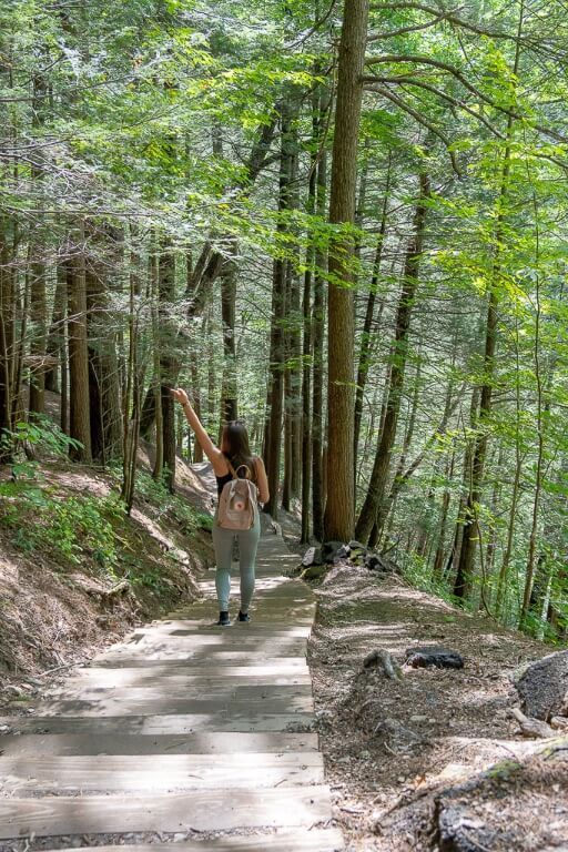 Woman walking down a wooden staircase along the Rim trail