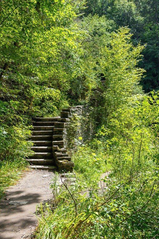 Stone staircase surrounded by stunning green trees in the finger lakes