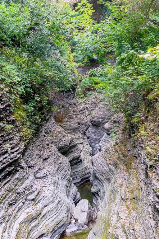 Beautiful narrow section of a gorge like ravine in finger lakes ny