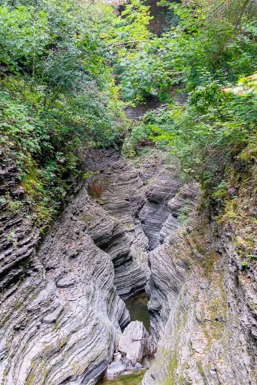 frumoasa secțiune îngustă a unui defileu ca o râpă în Finger lakes ny 