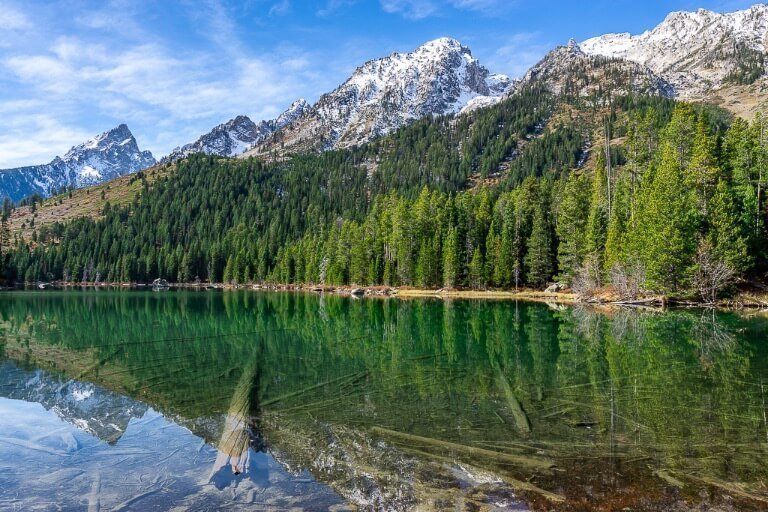 Jenny Lake edge with logs reflecting underneath green water and mountains