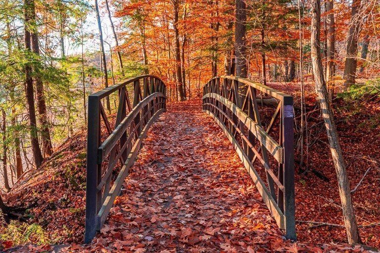 Hiking trails at letchworth state park in new york with bridge and beautiful fall colors on the ground