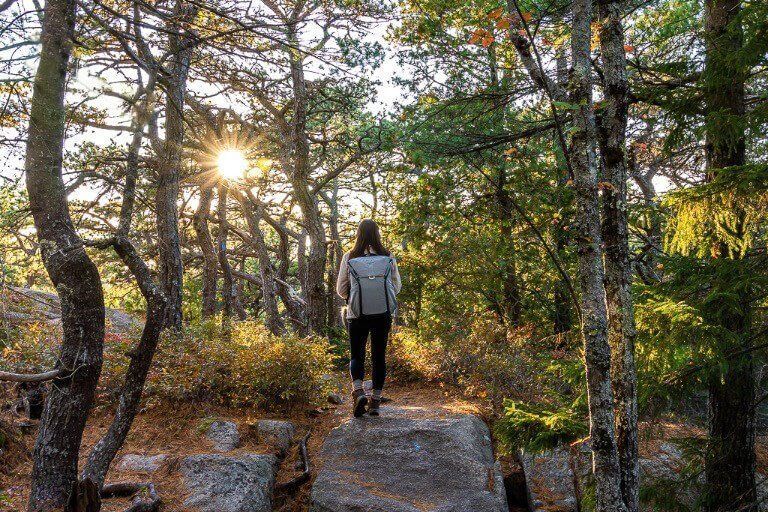 Kristen walking through stunning forest in Acadia national park Maine with peak design everyday backpack in ash and sunstar