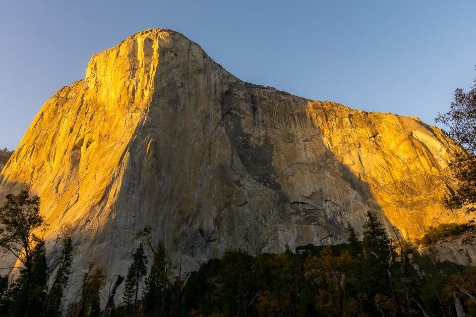 El Capitan illuminating at sunrise bright yellow sunlight warming up the rock Yosemite national park california