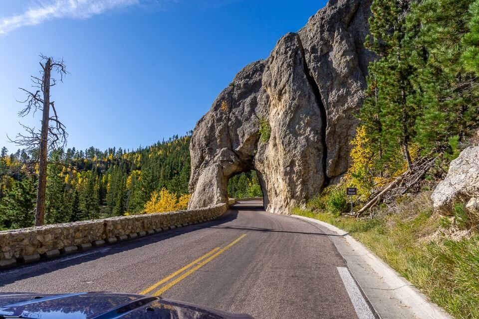 Iron mountain and needles highway custer state park south dakota road with arched tunnels