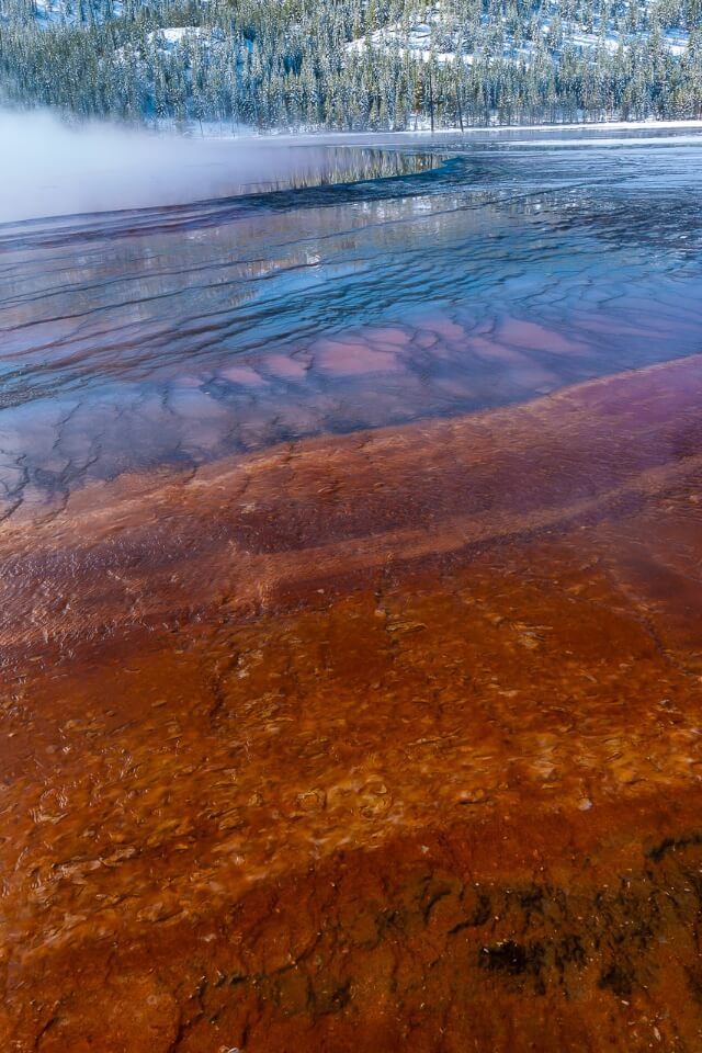 Stunning bright colors of grand prismatic spring geyser in yellowstone national park wyoming usa