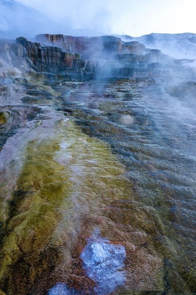 icy cold morning at mammoth hot springs in yellowstone national park wyoming steam rising and deep colors